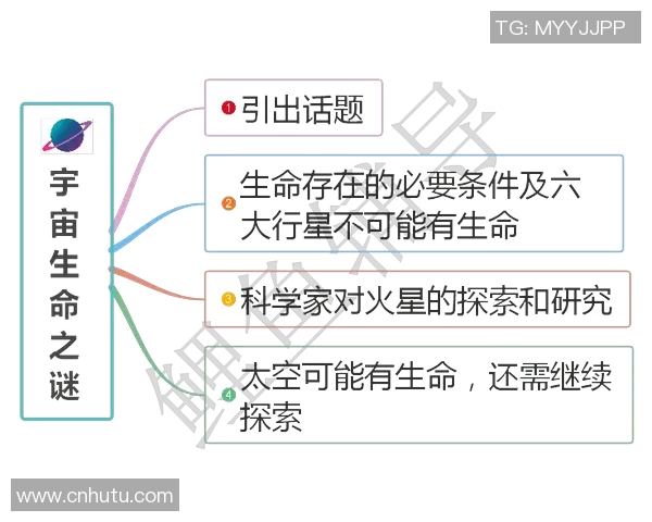 成都篮球队的精神探索与团队意识的深度剖析 成都篮球队的精神探索与团队意识的深度剖析