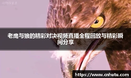 betway必威西汉姆联