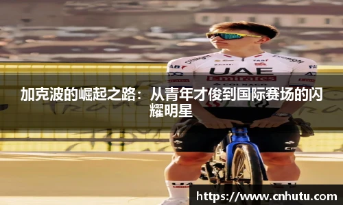 betway西汉姆联体育